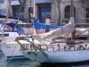 025_Harbour Cruise.jpg